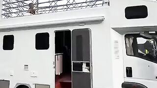 recreationalvehicle  travel  camping travel trailer campingautomobile