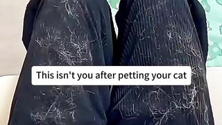 Tired of Pet Hair Everywhere? This Tool Works Like Magic!