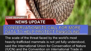 Conservationists Call for More Data to Help Protec