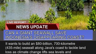 Can a Giant Seawall Save Indonesias Disappearing