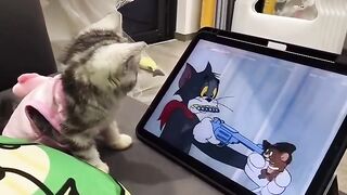 Tom  Jerry Funny Videos