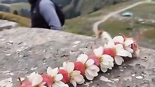 Beautiful Natuire