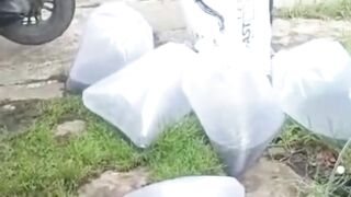STRATEGI pemasaran ikan lele untuk PEMULA
