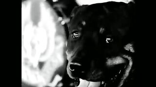 sweet child of mine music video