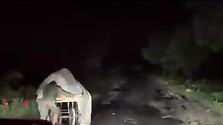 Sad video for flood in pakistan