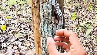 funnyvideos 10