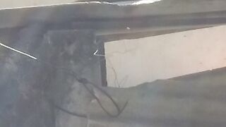Galinha