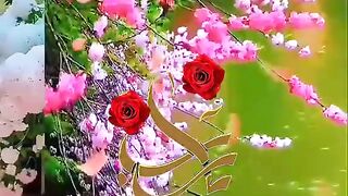 Beautiful video 107