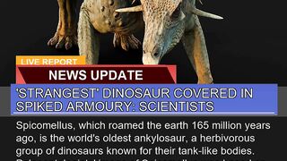 Strangest Dinosaur Covered in Spiked Armoury Sc