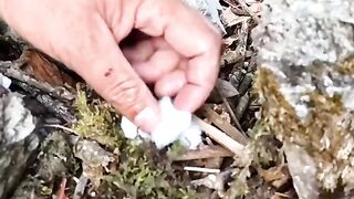 Fire bushcraft Survival  outdoor skills