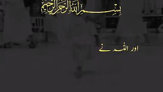Surah maida