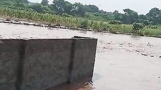 Flood news 6