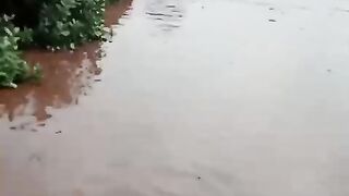 Flood news 10