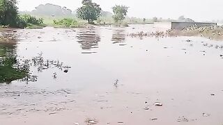 Flood news 11
