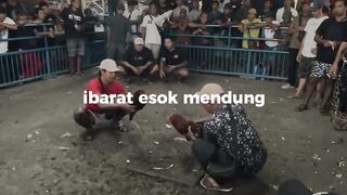 DAFTAR BOSPLAY AGEN SABUNG AYAM ONLINE TERBESAR RESMI AMAN DANA TERPERCAYA 4