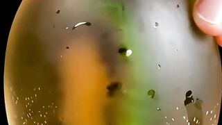 Glass Kiwi Slicing ASMR  Relaxing Fruit Cutting Sounds