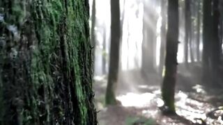 Beautiful nature 264