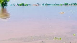 heavy flood in pakistan
