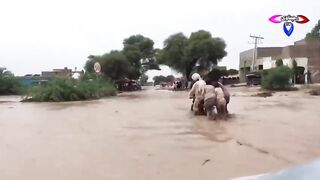 Flood 15