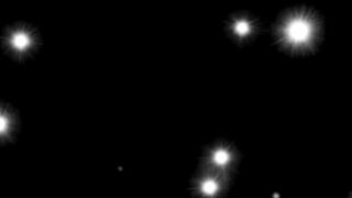 With kindness at its core, Vantara is shaping a peaceful world for wildlife powered by Anant Ambanis ProtectWildlife AnantDada 9