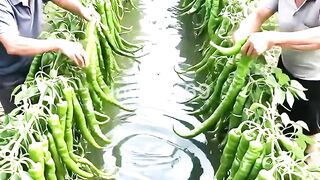 Some satisfying Fruits