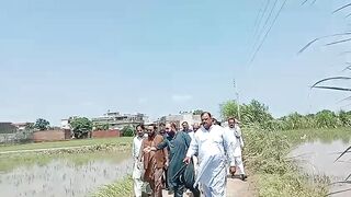 بند پلیاں  چوھدری سالک حسین کی ٹیم کے پا احتجاج گجرات کے 83 گاوں زیراب درجنوں مویشی