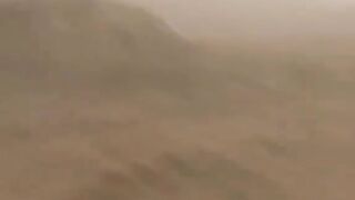 قام جيش الصهاينة بانتشال بعض الجثث صباح اليوم وأعداد الخسائر