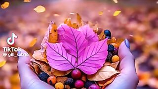 Beautiful Best Song 28