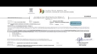 Businessman pandagang chesko