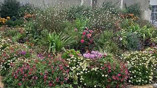 Les fleurs.
