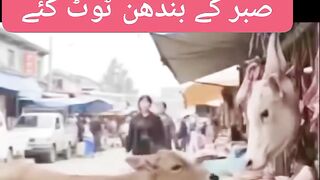 Ma to ma Hoti hai