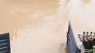 Funny news for flood explain
