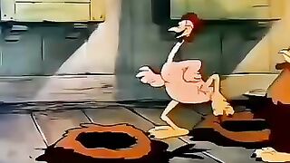 funny video 698