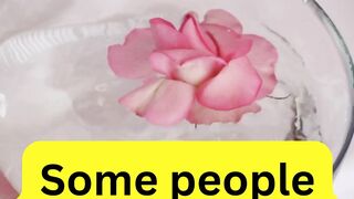 Deep Fact 5