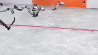 Skardu Winter Festival Pakistan