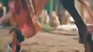 Oaman ghazi horse dance