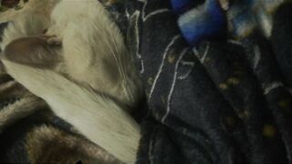 He LOVES his TAIL!!!!