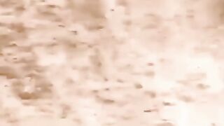 tiger catching a wildbeest baby // tiger hunting // #wildanimals #wildbeest