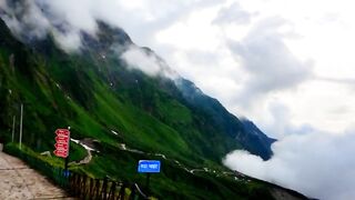 Pure Nature fogy mosam
