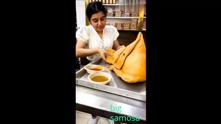 Big Samosa in this mortal world