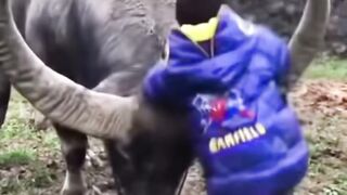 Viral funny kids| 2023 best funny clips if you like follow me