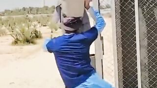 Funny Best video