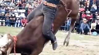 Viral 2023 best funny clips|If you like follow me