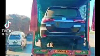 Funny videos
