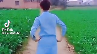 Funny videos