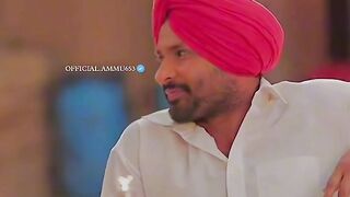 Punjabi status