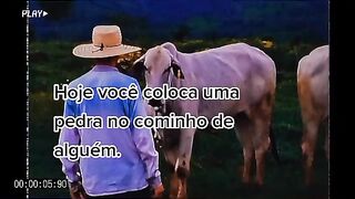 motivaçaodiaria