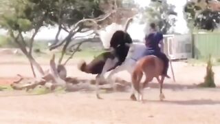 Kia ho gia r baba asp ko