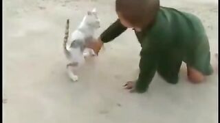 Funny cat ????????