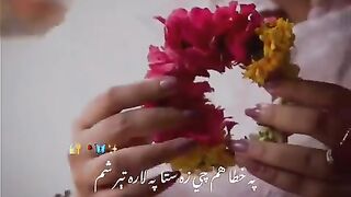 Pashto Whatsapp status new 2023